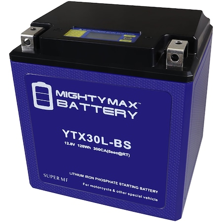 YTX30L-BS Lithium Replacement Battery Compatible With BMW R100CS YTX30L-BS Power Sports UTV